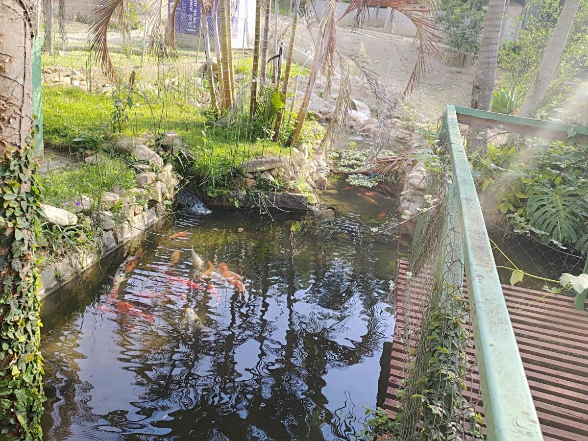 סאו בנטו דו ספוקאי Solar Dos Canarios מראה חיצוני תמונה